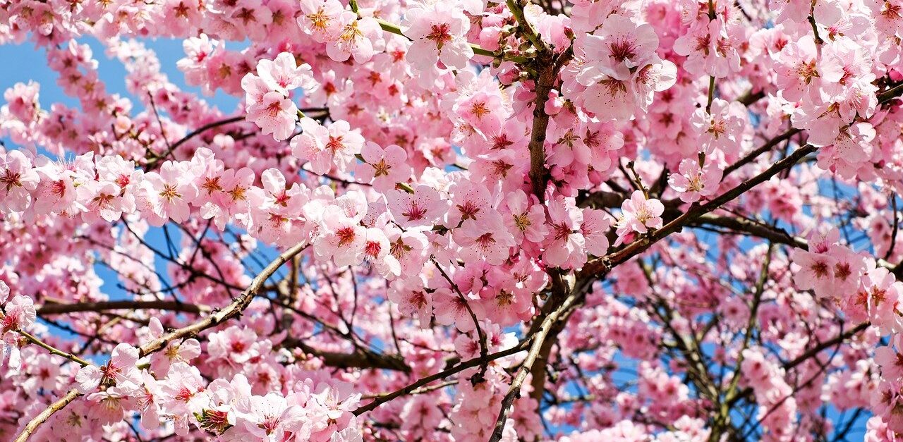 ４月のカレンダー