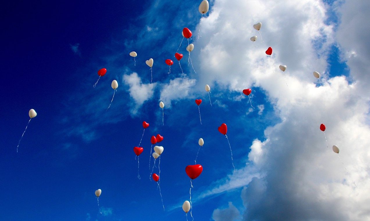 NHK『朝イチ』の放送内容がWEB記事で公開されました