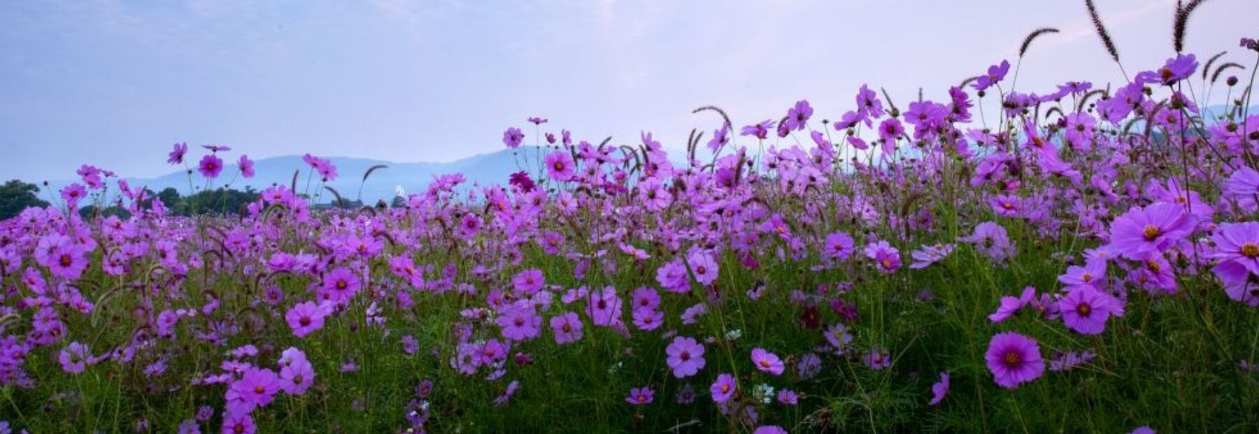 🍁９月のスケジュール