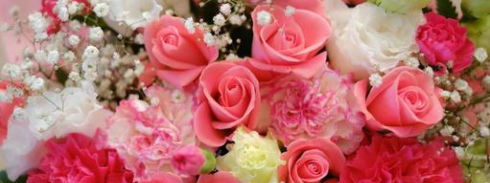 読売テレビ「かんさい情報ネットten.」で紹介されました