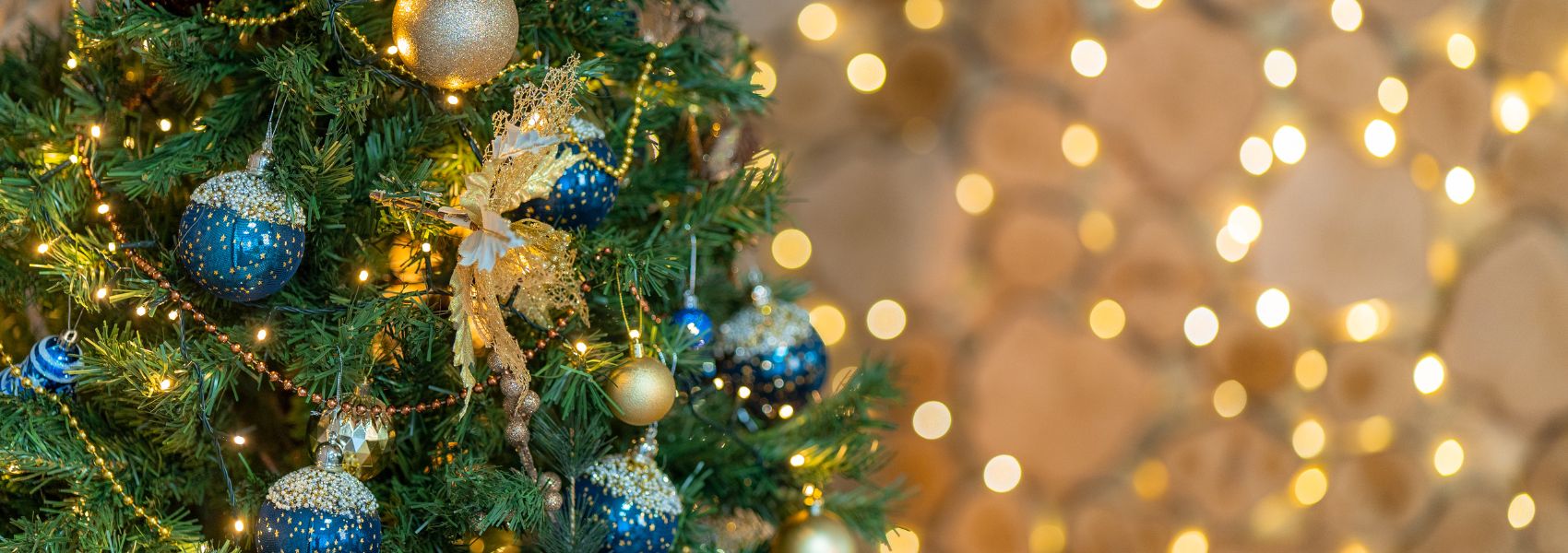 クリスマス会のご案内🎄